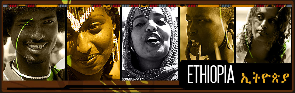 African Holocaust